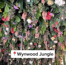 miami hidden gems wynwood jungle